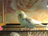 DSCN6001.jpg