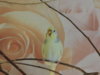 DSCN6284.jpg