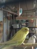 603FB248-1C05-442D-BD88-23A5971E0F38.jpeg