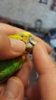20190811_140350.jpg