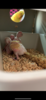 B4580687-122E-4A57-AEFA-F30155778AC9.png