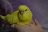 DSC_0461.JPG
