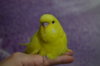 DSC_0518.JPG