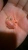 WP_20190822_012.jpg