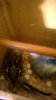 WP_20190822_014.jpg
