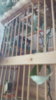 20190825_142100.jpg