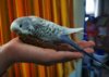 IMG_20190829_075606.jpg