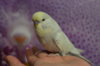 CSC_0536.JPG