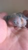 WP_20190903_016.jpg