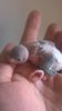 WP_20190903_024.jpg