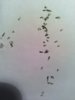 IMG_20190903_201255.jpg
