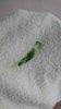 DSC_0711.JPG