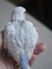 _9070068.jpg