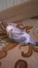 WP_20190910_004.jpg