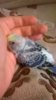 WP_20190910_008.jpg
