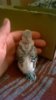 WP_20190912_026.jpg