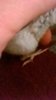 WP_20190912_030.jpg