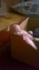 WP_20190912_017.jpg