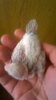 WP_20190912_038.jpg