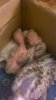 WP_20190912_032.jpg
