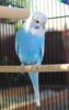 IMG-20190814-WA0009.jpg