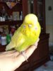 IMG-20190921-WA0002.jpg