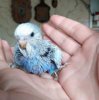 IMG-20190921-WA0016.jpg