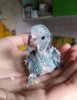 IMG-20190921-WA0009.jpg