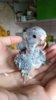 IMG-20190921-WA0010.jpg