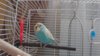 DSC_5915.JPG