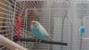 DSC_5914.JPG