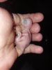 20190930_182826.jpg