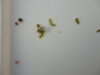 DSC02620.JPG