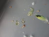 DSC02623.JPG