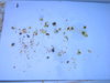 DSCN7008.JPG