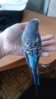 DSC_1186.JPG