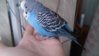 DSC_1187.JPG