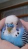 DSC_1166.JPG