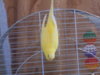 DSCN0821.JPG
