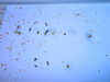 DSCN7014.JPG
