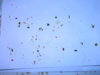DSCN7022.JPG