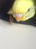 image.jpeg