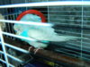 DSCN7026.JPG