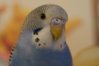 DSC05221.JPG