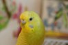 DSC05227.JPG