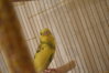 DSC_1829.JPG