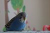 DSC05238.JPG