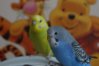 DSC05240.JPG