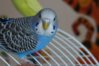 DSC05241.JPG