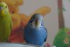 DSC05242.JPG